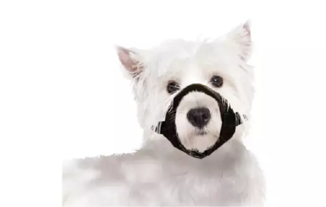 Muselière de sécurité et anti aboiement pour chien NEUVE noir résistant en nylon 3