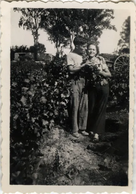 Photo Ancienne - Vintage Snapshot - Vendanges Travail Chemin D'agde - Harvest 8