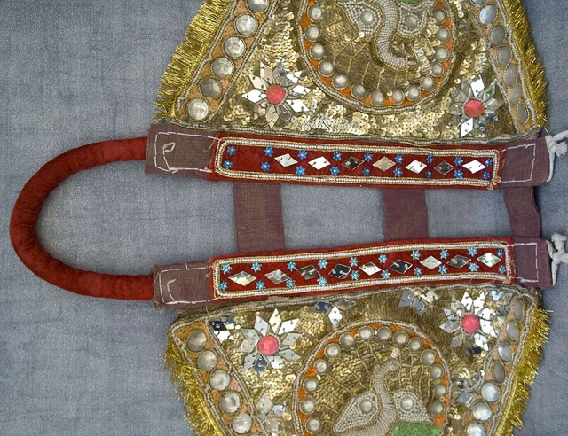 Cheval Marwari photo stock. Image du indien, épaules, oreille - 4397686