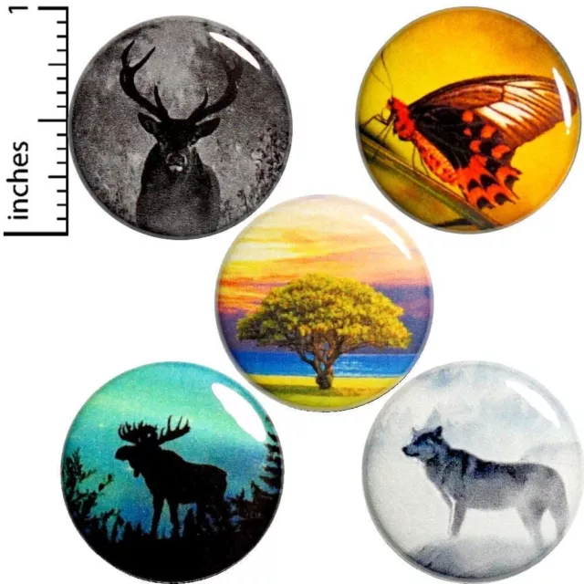 COOL NATURE BUTTONS Animals Wolf Butterfly Moose 5 Pack Backpack Pins 1 ...