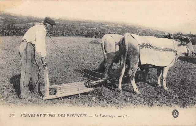 Cpa 65 Scenes Et Types Des Pyrenees Le Labourage