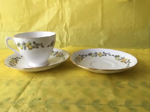 Royal Vale Bone China Teacup and 2 Saucers