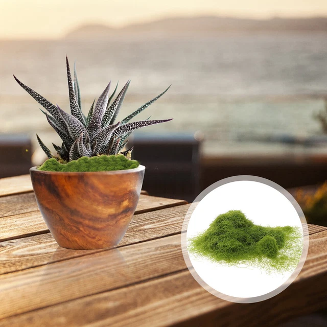 Kit materiale base scenari modelli falsi decorazioni pianta in vaso