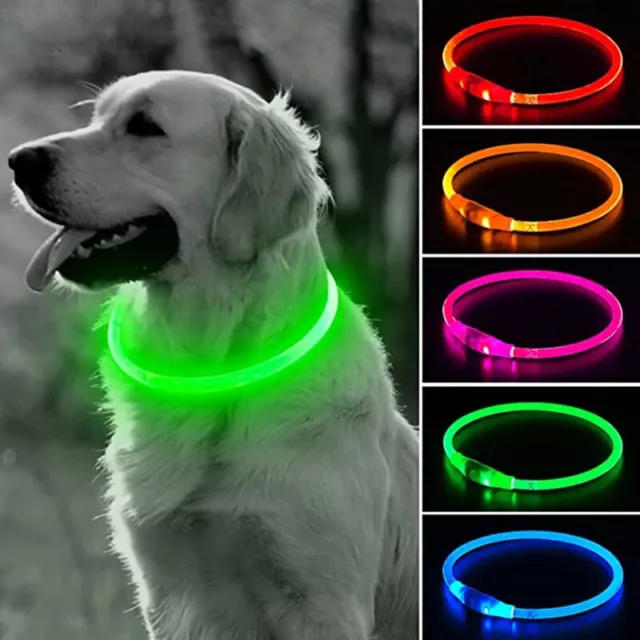 Rechargeable USB LED Pet Dog Glow Collar night safety adjustable flash light-UP