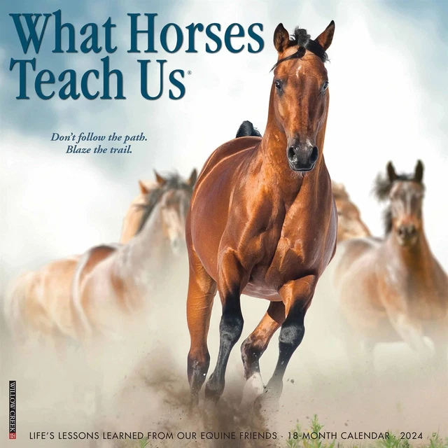 WHAT HORSES TEACH Us Calendar 2024 Animal Month To View £10.99