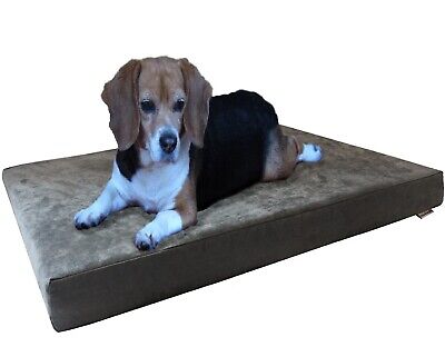 Small Medium Gray Suede Pet Dog Bed Orthopedic Waterproof Memory Foam 35x20x4"