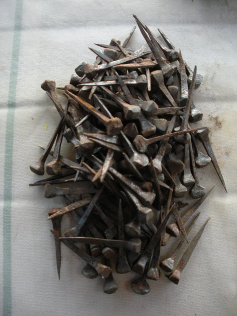 Lot de 300 anciens clous en fer forgé,Tête Carré ,maréchal ferrand cheval