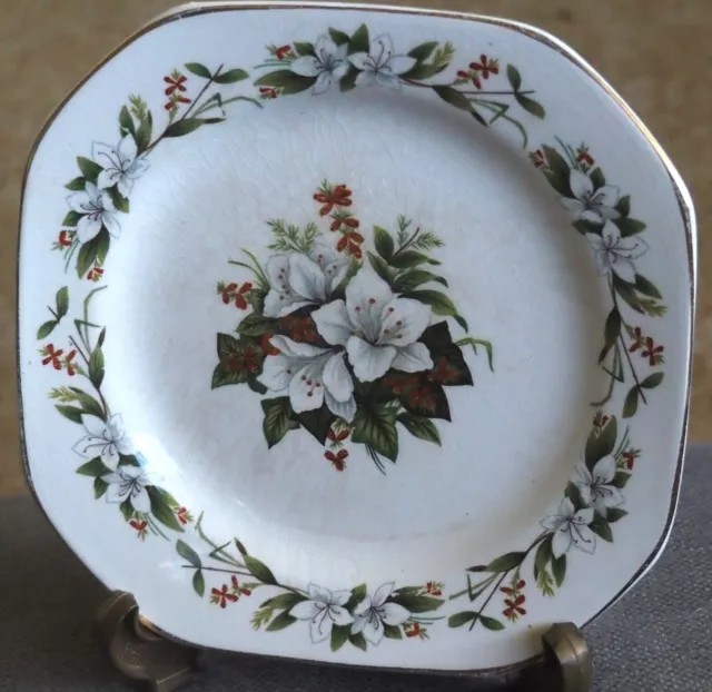 Six { 6 } Bread and Butter plates by Swinnertons Staffordshire Made in England 2