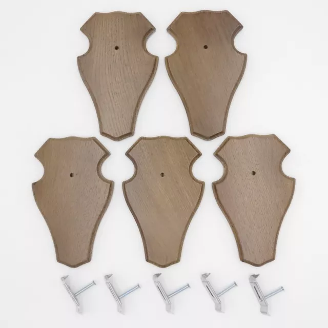 5 Pieza Ciervo Escudo de Trofeo Romo Pequeño Braun Af 19cm x 11cm Con 5x Pinzas