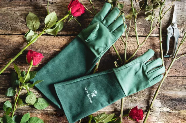 ACE Rose Garden - Rosenhandschuh Dornenschutz Gartenhandschuh  Dornenhandschuh 3