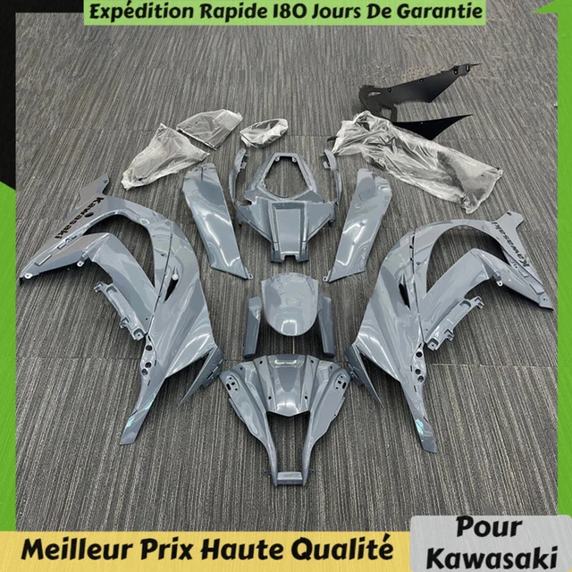 Peinture Kawasaki : Pot Et Bombe De Peinture Pour Moto - Toutes Teintes