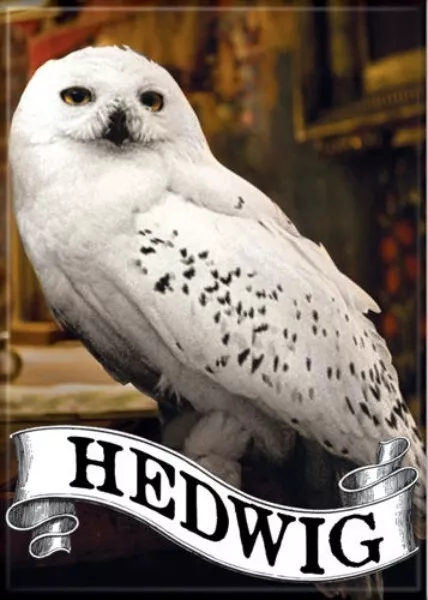 NEW LEGO Harry Potter HEDWIG Set 75979 Owl Wizarding World NIB Factory  Sealed