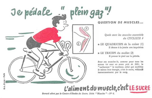 ancien buvard publicitaire CYCLISTE l'aliment c'est LE SUCRE