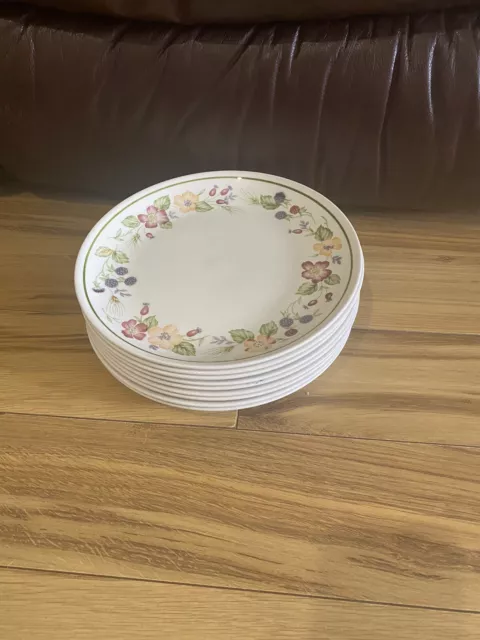 STAFFORDSHIRE BILTONS / WOOLWORTHS COUNTRY LANE DINNER PLATES X 9 25cm