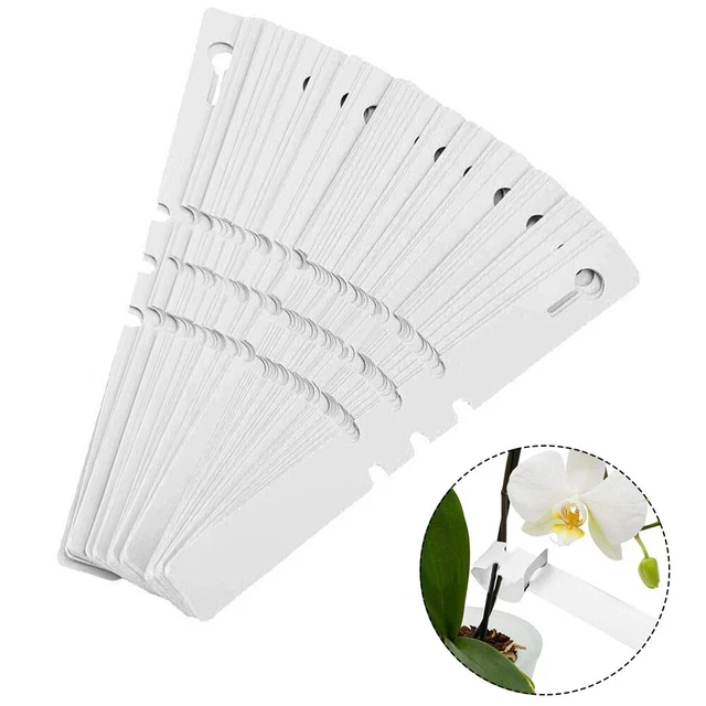 100 etichette in plastica, impermeabili, per classificazione delle piante