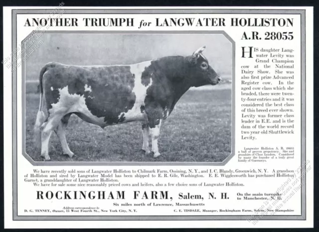 1923 Guernsey cattle bull photo Rockingham Farm Salem NH vintage print ad