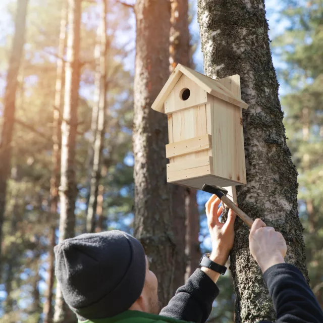 Nichoir à oiseaux en bois maison oiseaux à suspendre mésanges rouge-gorge pinson 3