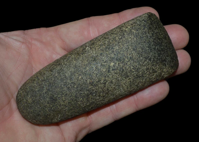 Celt Central Kentucky Authentic Indian Artifact Tool Hardstone Collectible Relic