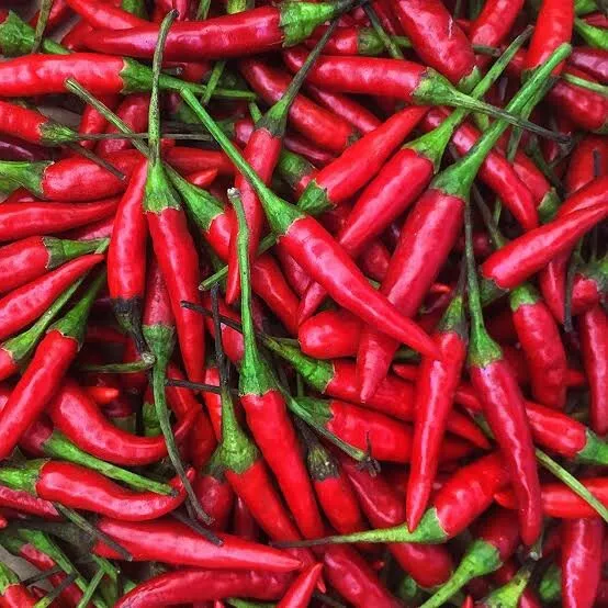 Thai Chilli Long Stem - Extreme Hot & Heavy Yield - 20 Seeds