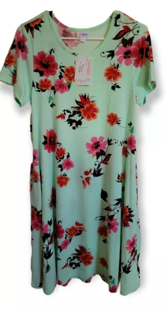 LuLaRoe Spring Floral Small Jessie Pocket Dress Beautiful Flowers on Mint NEW!