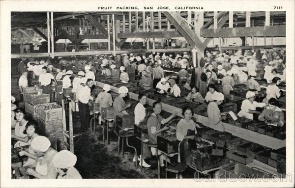 San Jose,CA Fruit Packing Santa Clara County California Pacific Novelty Co.