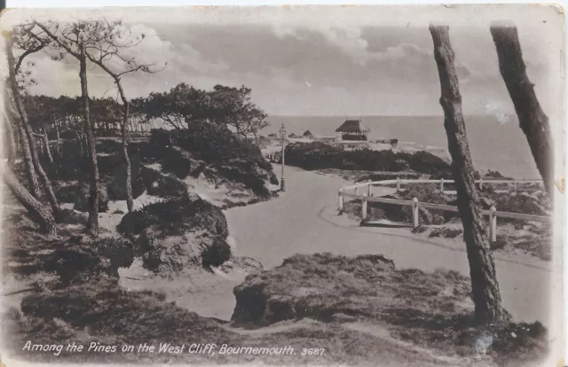 Postcard - Among the Pines on West Cliff Bournemouth Dorset posted