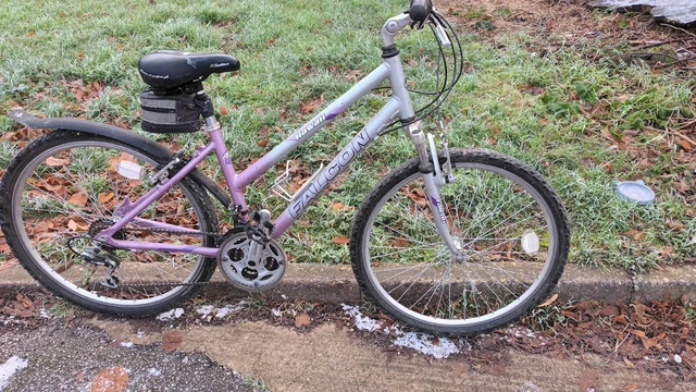 Falcon hawaii ladies bike clearance