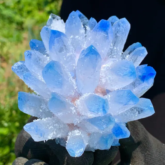 519G  New Find sky blue Phantom Quartz Crystal Cluster Mineral Specimen Healin