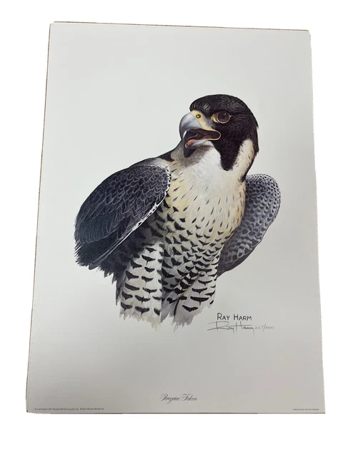 Ray Harm Limited Edition Hand Signed Print "Peregrine Falcon” (Portrait Numbered Ray Harm Limited Edition Hand Signed Print "Peregrine Falcon” (Portrait Numbered
