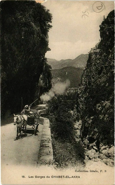 CPA AK Les Gorges du Chabet-El-Akra ALGERIE (749058)