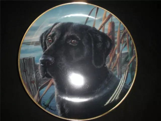 Fabulous Porcelain Collector Plate Franklin Mint Man's Best Friend Dogs New