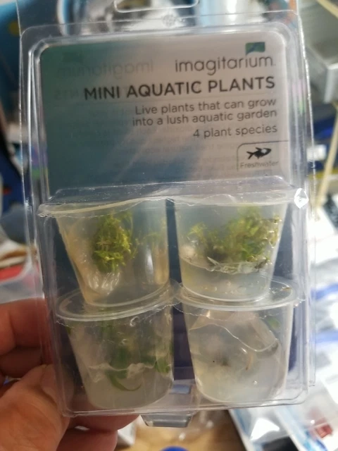 Imagitarium Aquatic Mini Live Plants Fish Tank Aquarium Decor 4 Live Plant Speci