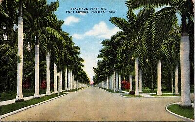 Beautiful First Street Fort Myers Florida FL Royal Palms Unposted Postcard