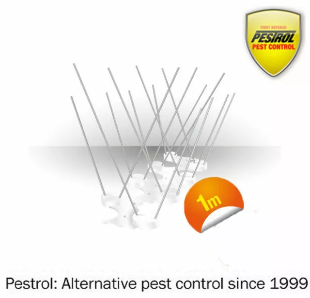 Pestrol Bird Spikes 1 metre - Polycarbonate base, stainless spikes FAST AND FREE