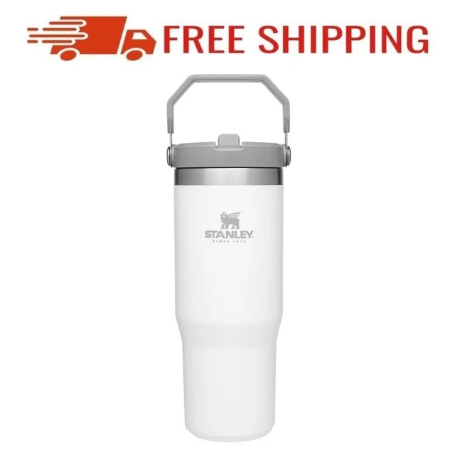 Stanley IceFlow Stainless Steel Tumbler Straw Vacuum Insulated Bottle 30oz Polar