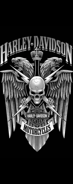 Tapis De Sol Harley Davidson - Décoration Garage - 80x200 Cm - Tissé - Neuf