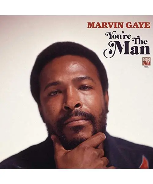You're The Man, Marvin Gaye