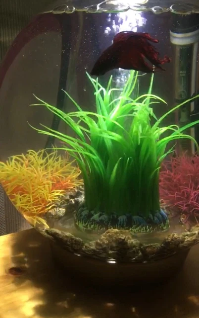 Baby biorb fish tank