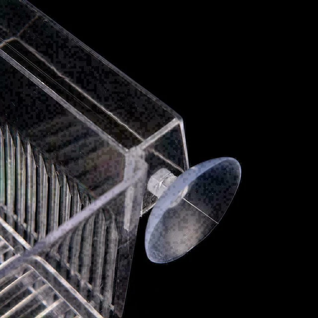 Aquarium Fish Tank Guppy Double Breeding Breeder Rearing Clear L6C0 K9W3 X8V1 4