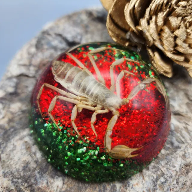 Scorpion Taxidermy Paperweight 2.5" Goth Cmas Red Green Glitter Halloween v7