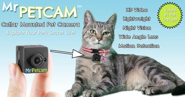 Mr Petcam HD - Collar Mounted Pet Camera - HD Video, Night Vision & More