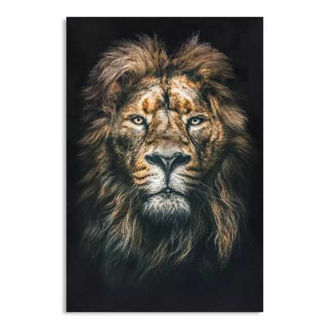 Acrylglas Wandbild Löwe Lion Abstrakt Kunstdruck Bilder Natur Deko Glasbild 3