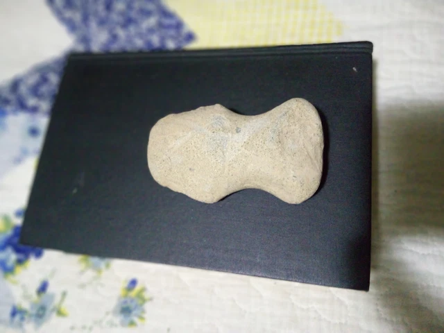 Prehistoric, auth Native American Indian Full Groove Axe Head Artifact Tool Ohio