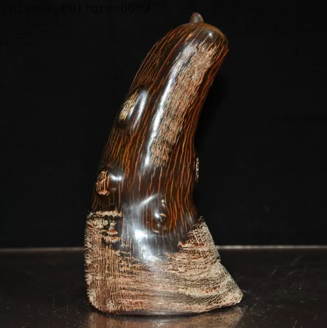 8'' Collect Rare Chinese old ox horn horns hand carved Oxhorn Oxhorns statue