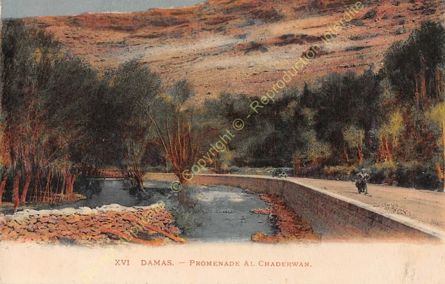 CPA Syria Damas Promenade Al Chaderwan Edit Neurdein