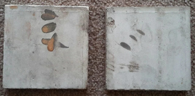 Pair of Victorian Majolica Tiles 3