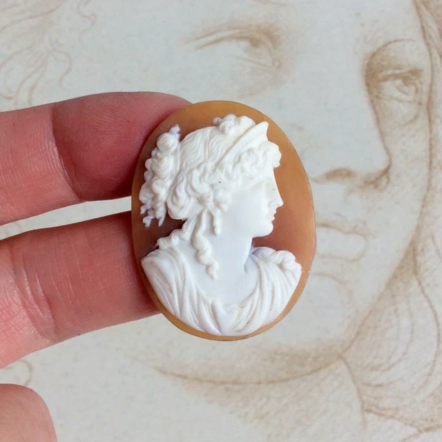 Camée coquillage à décor d'une femme de profil. Monture en métal doré