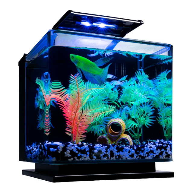 Betta Glass Aquarium Kit 3 Gallons Includes LED Lighting and Filter Fish Tanks