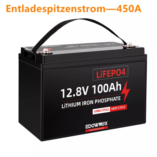 12V LiFePO4 100Ah Lithium Batterie Akku BMS Solarbatterie Solaranlage Boot RV