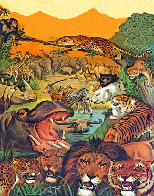 Poster Jungle Wild Animals Lions Tigers Elephants Zebras Vintage Repro Free S/H